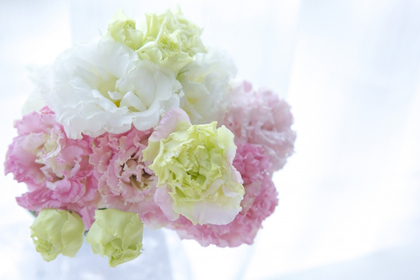 花屋を銀座でお探しならKT.Flowerへ　花言葉　誕生花　トルコキキョウ