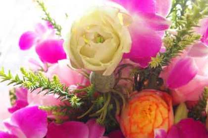 銀座の花屋KT.Flowerのギフト　【デンファレ】