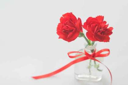 銀座の花屋KT.Flowerのギフト　【カーネーション】