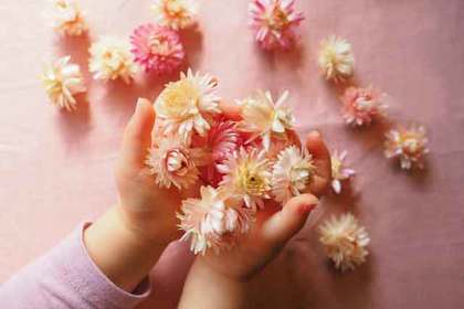 銀座の花屋KT.Flowerのギフト　ドライフラワー