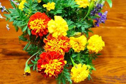 銀座の花屋KT.Flowerのギフト　マリーゴールド