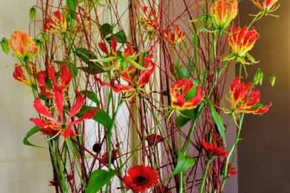 銀座の花屋KT.Flowerのギフト　グロリオサ