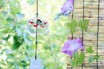 銀座の花屋KT.Flowerのギフト　アサガオ
