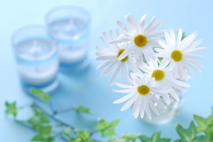 銀座の花屋KT.Flowerのギフト　花言葉　誕生花　マーガレット