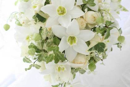 花屋を銀座でお探しならKT.Flowerへ　花言葉　誕生花　ユーチャリス