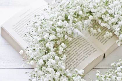 花屋を銀座でお探しならKT.Flowerへ　花言葉　誕生花　カスミソウ
