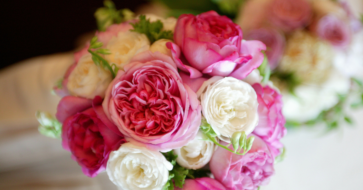 銀座の花屋KT.Flower